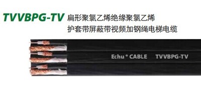 TVVBPG-TV